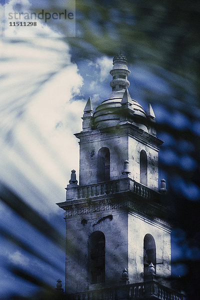 Blick durch Palmblätter des Turms der Kathedrale in Merida. Muster und Schatten.