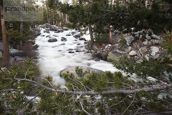 Über Felsen fließender Bach  Yosemite National Park  Kalifornien  USA