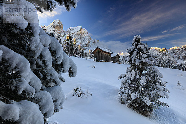 Der schneebedeckte Gipfel des Sass De Putia umrahmt die Holzhütte und den Wald in der Morgendämmerung  Passo Delle Erbe  Fünser Tal  Südtirol  Italien  Europa