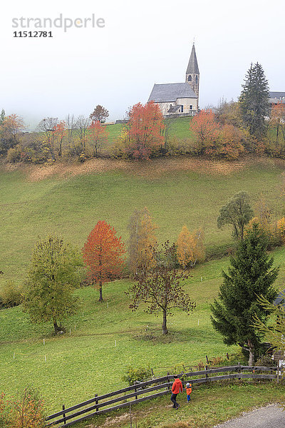 Nebel und bunte Bäume umgeben die Bergkirche im Herbst  St. Magdalena  Funes Tal  Südtirol  Dolomiten  Italien  Europa