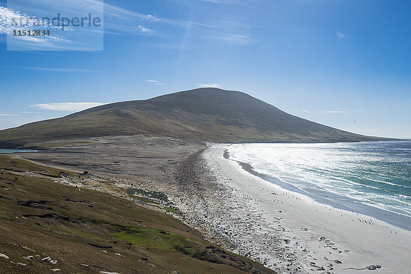 Die Landenge auf der Insel Saunders  Falklandinseln  Südamerika