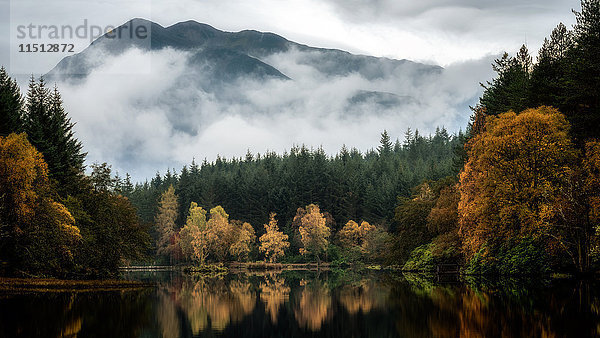 Glencoe Lochan im Herbst  Highlands  Schottland  Vereinigtes Königreich  Europa