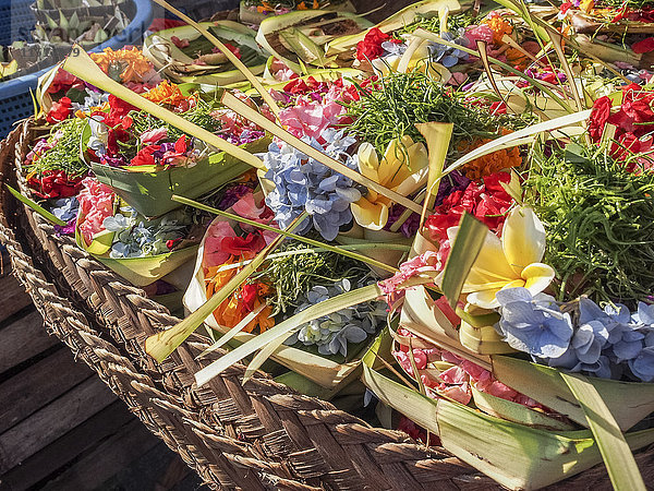 Angebote von Blumen zu verkaufen  Denpasar  Bali  Indonesien  Südostasien  Asien