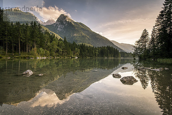 Hintersee  Berchtesgadener Alpen  Bayern  Deutschland  Europa