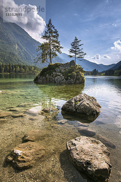 Hintersee  Berchtesgadener Alpen  Bayern  Deutschland  Europa