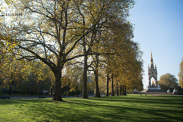 Herbst im Hyde Park  London  England  Vereinigtes Königreich  Europa