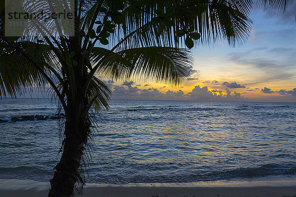 Sonnenuntergang am Savannah Beach  Christ Church  Barbados  Westindien  Karibik  Mittelamerika