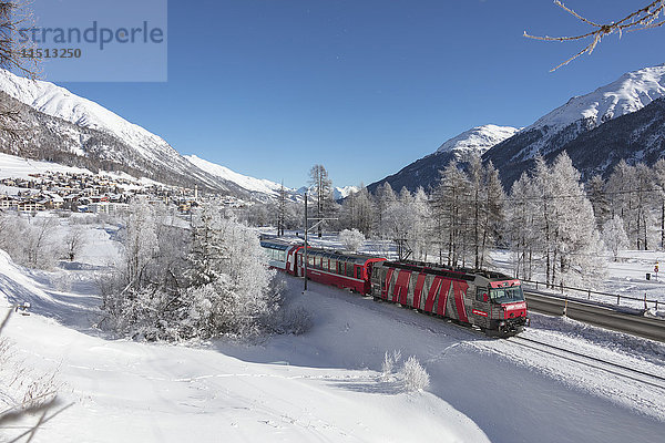 Der rote Zug fährt durch die verschneite Landschaft um Samedan  Maloja  Kanton Graubünden  Engadin  Schweiz  Europa
