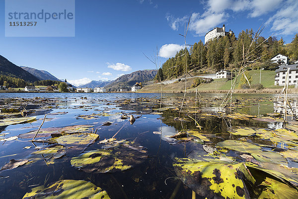 Herbstlaub im Taraspsee umrahmt das alte Schloss  Innkreis  Kanton Graubünden  Engadin  Schweiz  Europa