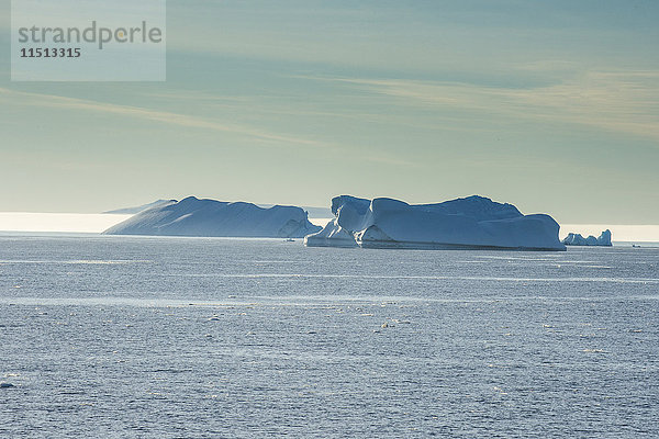 Schwimmende Eisberge in der Hope Bay  Antarktis  Polarregionen