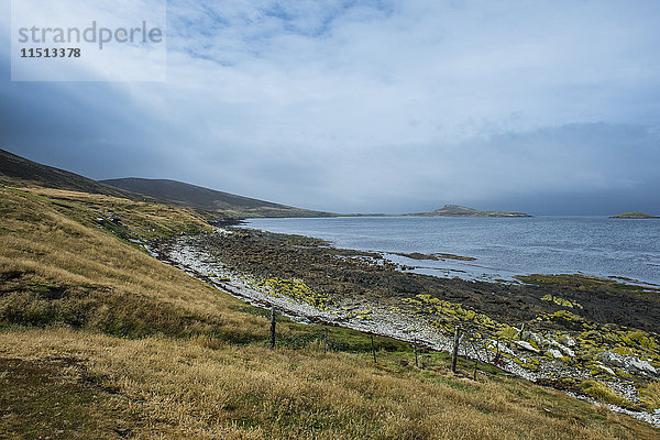 Hübsche Bucht in Carcass Island  Falklandinseln  Südamerika