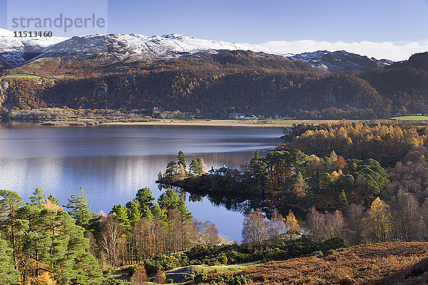 Waldgebiet um Brandlehow  Derwent Water  Cumbria  England  Vereinigtes Königreich  Europa