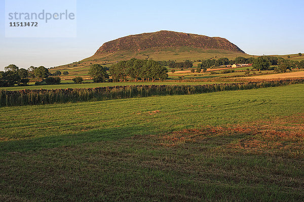 Slemish Mountain  Grafschaft Antrim  Ulster  Nordirland  Vereinigtes Königreich  Europa