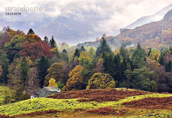 Herbstlicher Blick auf das malerische Langdale Valley  Lake District National Park  Cumbria  England  Vereinigtes Königreich  Europa