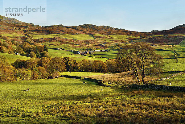 Herbstlicher Blick auf das malerische Duddon Valley  Lake District National Park  Cumbria  England  Vereinigtes Königreich  Europa