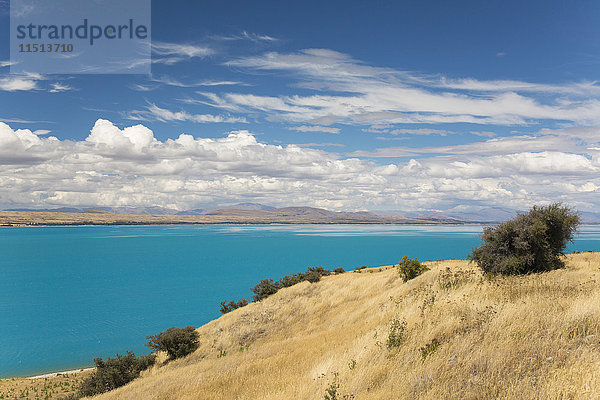 Blick über das türkisfarbene Wasser des Pukaki-Sees bei Twizel  Bezirk Mackenzie  Canterbury  Südinsel  Neuseeland  Pazifik