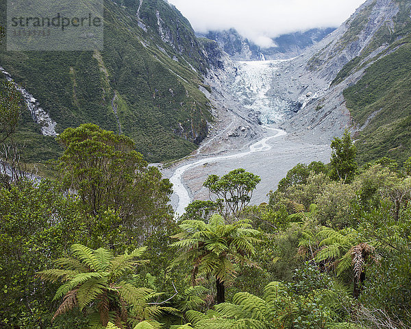 Blick auf den Fox Glacier vom Chalet Lookout Track  Fox Glacier  Westland Tai Poutini National Park  UNESCO Weltkulturerbe  Westküste  Südinsel  Neuseeland  Pazifik