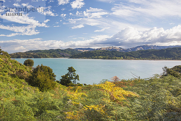 Blick über die Sandy Bay vom Abel Tasman Coast Track  Abel Tasman National Park  nahe Marahau  Tasman  Südinsel  Neuseeland  Pazifik