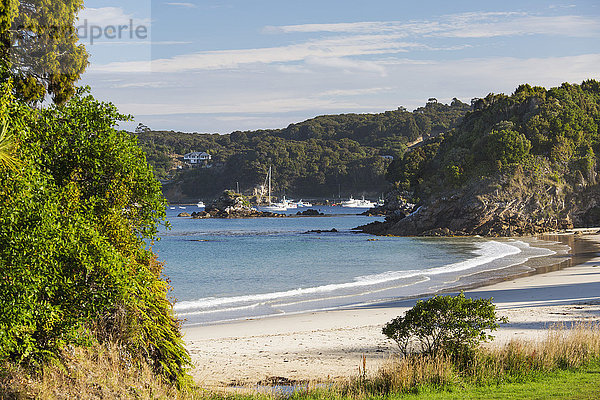 Blick über Butterfield Beach  Halfmoon Bay  Oban  Stewart Island  Südland  Südinsel  Neuseeland  Pazifik