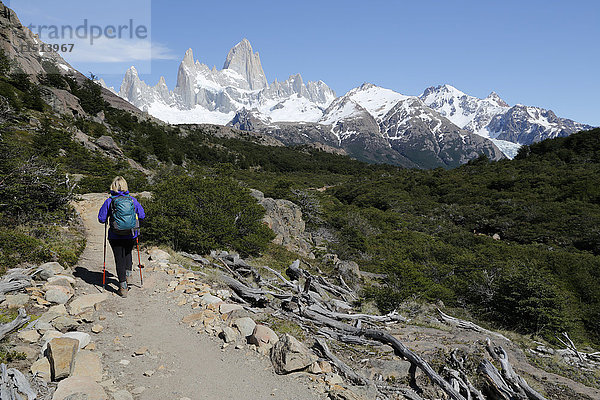 Blick auf den Berg Fitz Roy auf dem Weg zur Laguna de Los Tres  El Chalten  Patagonien  Argentinien  Südamerika