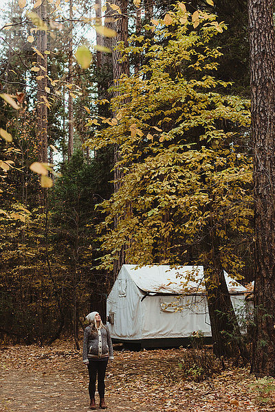 Wanderin im Wald  die auf einen Baum schaut  Yosemite National Park  Kalifornien  USA