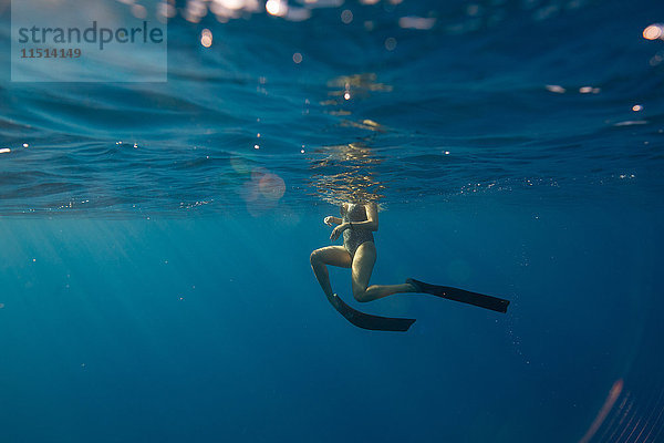 Frau mit Flossen schwimmt unter Wasser  Oahu  Hawaii  USA