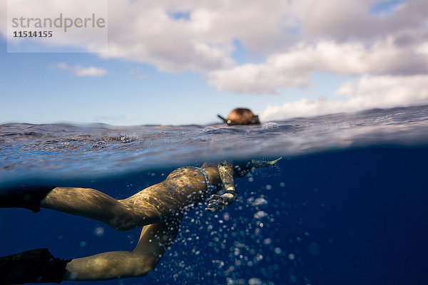 Frau mit Flossen schwimmt unter Wasser  Oahu  Hawaii  USA