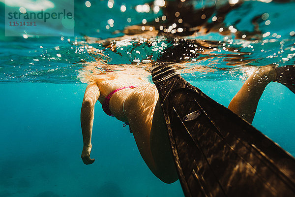 Unterwasseransicht einer Frau mit Flosse beim Schwimmen  Oahu  Hawaii  USA