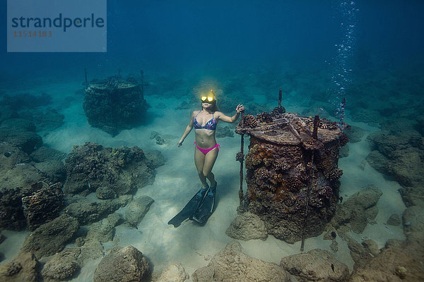 Unterwasseraufnahme einer Frau beim Schnorcheln auf dem Meeresgrund  Oahu  Hawaii  USA