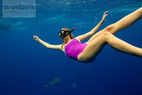 Unterwasseransicht einer Frau beim Schnorcheln mit Meereslebewesen  Oahu  Hawaii  USA