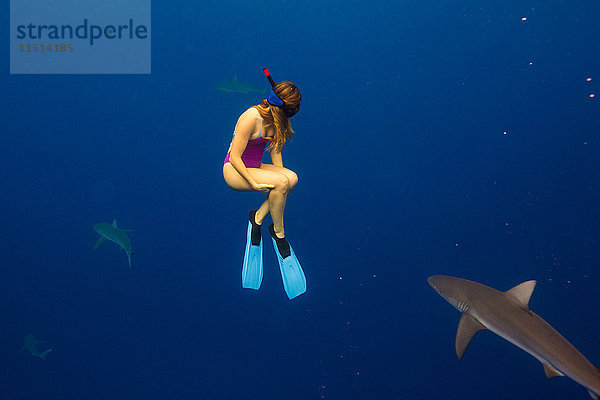 Unterwasseransicht einer Frau beim Schnorcheln mit Meereslebewesen  Oahu  Hawaii  USA