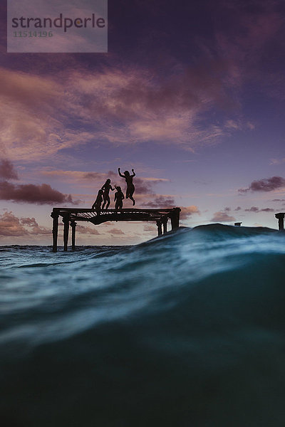 Silhouette von Freunden  die auf dem Trampolin im Meer hüpfen  Oahu  Hawaii  USA