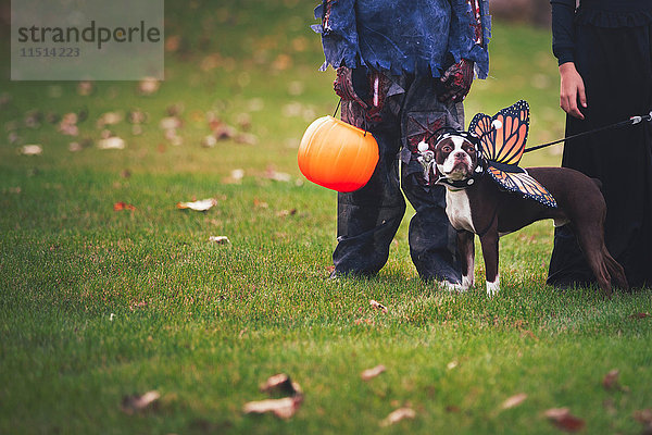 Freunde in Halloween-Kostümen mit Hund als Schmetterling verkleidet