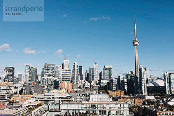 Skyline von Toronto mit dem CN-Turm  Toronto  Ontario  Kanada