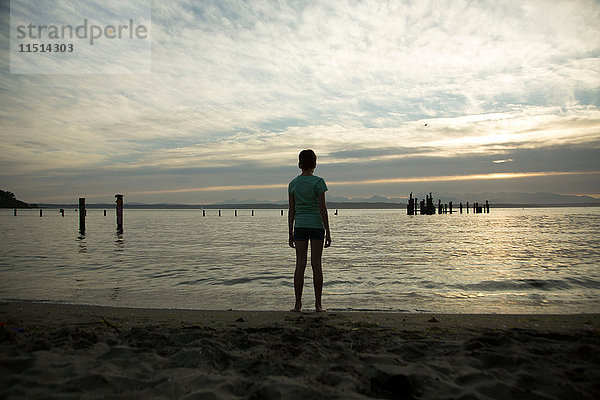 Teenager-Mädchen steht am Strand  schaut auf Ansicht  Rückansicht