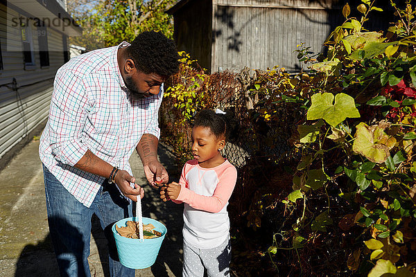 Vater und Tochter sammeln Blätter im Eimer