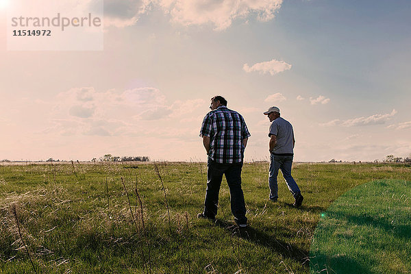 Zwei reife Männer gehen in einer Feldlandschaft bei Hastings Nebraska  USA