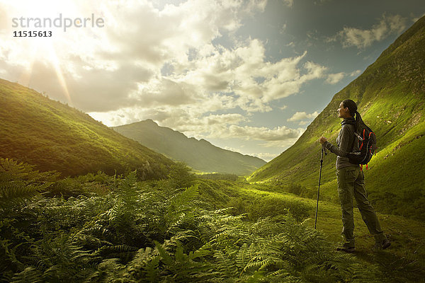 Kaukasische Frau beim Wandern im grünen Tal