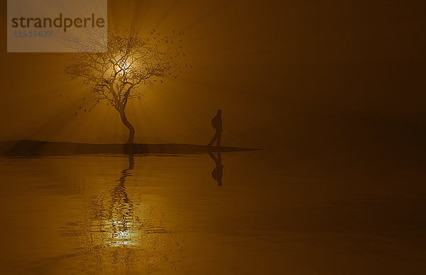 Silhouette von Frau und Baum in der Nähe des Flusses bei Sonnenuntergang