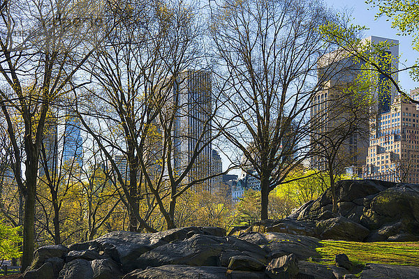 Felsen und Bäume im Stadtpark