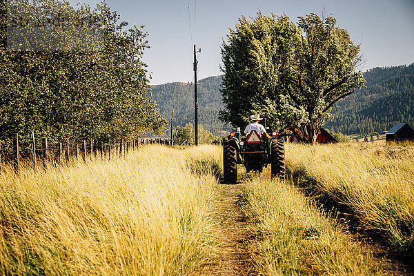 Kaukasischer Bauer fährt Traktor