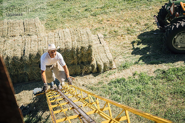 Kaukasischer Bauer klettert die Leiter zur Scheune hoch