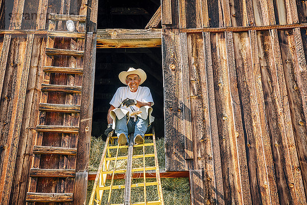 Porträt eines lächelnden kaukasischen Landwirts  der auf einer Leiter in einer Scheune sitzt