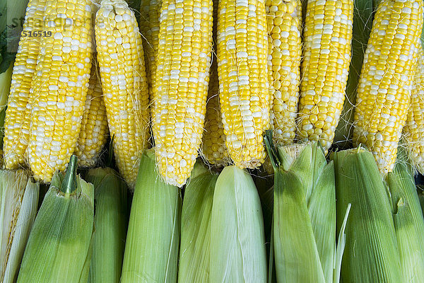 Frischer Mais auf dem Markt