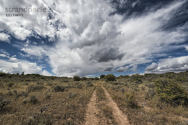 Abgelegener Feldweg unter Wolken