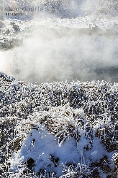 Frost auf Laub an dampfenden heißen Quellen