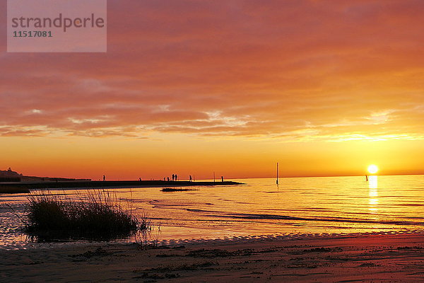 Niedersächsisches Wattenmeer  Sahlenburg  Niedersachsen  Deutschland  Europa