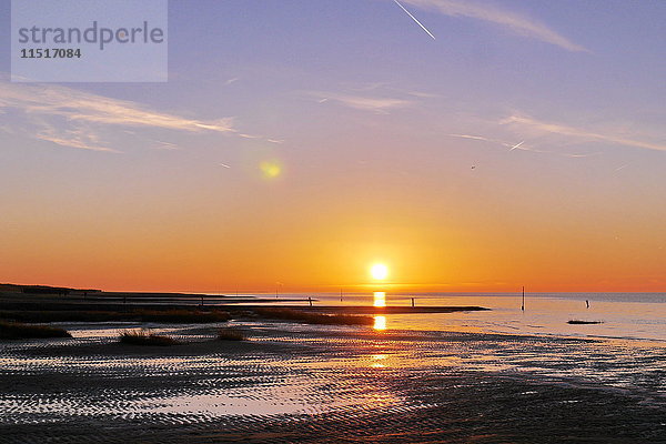 Niedersächsisches Wattenmeer  Sahlenburg  Niedersachsen  Deutschland  Europa