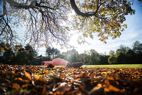 Frau macht am Herbsttag Yoga im Park