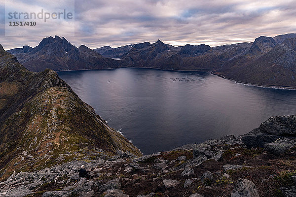 Frau schaut im Herbst vom Segla Peak auf der Insel Senja auf das Meer hinaus  Arktis Norwegen